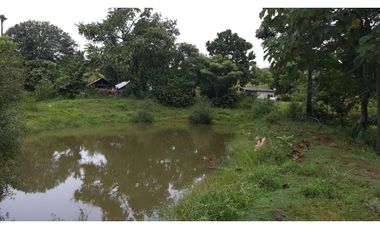Espectacular finca para ganadería o cultivos en Necoclí