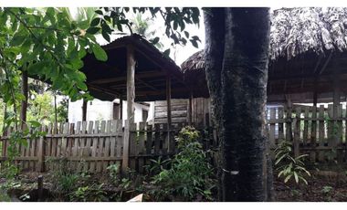 Espectacular finca para ganadería o cultivos en Necoclí