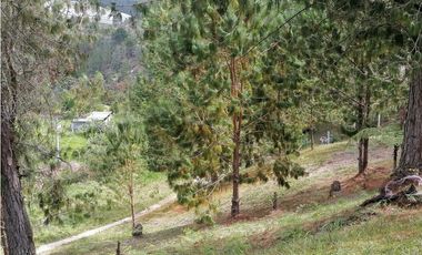 Finca independiente en venta en Guarne, Vereda Yolombal