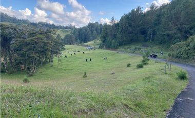 Lote en venta en El Retiro sector Carrizales