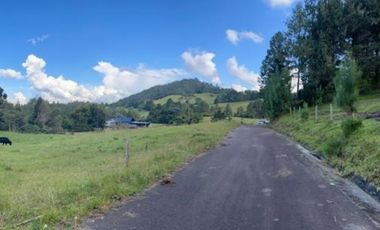 Lote en venta en El Retiro sector Carrizales