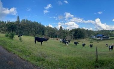 Lote en venta en El Retiro sector Carrizales