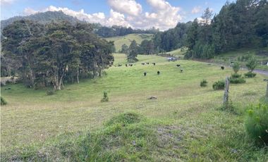 Lote en venta en El Retiro sector Carrizales