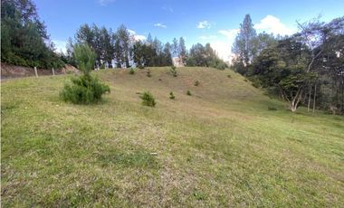 Lote en venta en El Retiro sector Carrizales