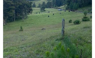 Lote en venta en El Retiro sector Carrizales