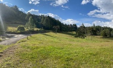 Lote en venta en El Retiro sector Carrizales