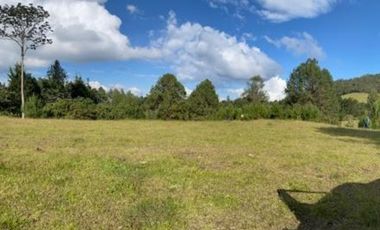 Lote en venta en El Retiro sector Carrizales