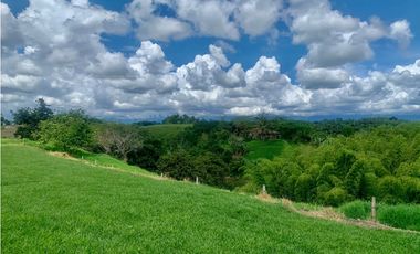Finca en venta en El Quindío sector Vereda Calle Larga