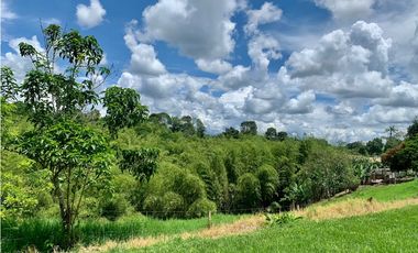 Finca en venta en El Quindío sector Vereda Calle Larga