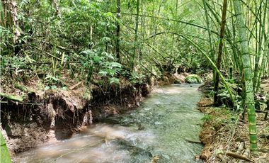 Finca en venta en El Quindío sector Vereda Calle Larga
