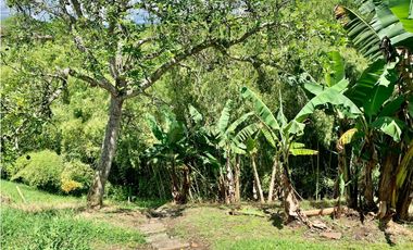 Finca en venta en El Quindío sector Vereda Calle Larga