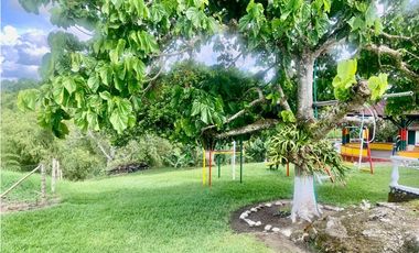 Finca en venta en El Quindío sector Vereda Calle Larga