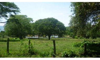 Lote en venta en Melgar Vía Carmen de Apicalá