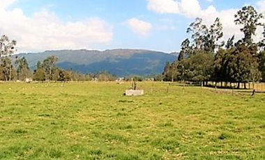 LOTE INDUSTRIAL VENTA 64.000 M2 COGUA