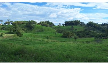 FINCA GANADERA