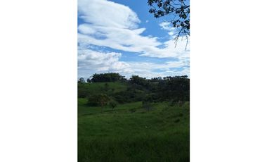 FINCA GANADERA