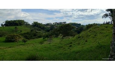 FINCA GANADERA