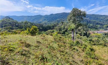 Lote en San Rafael Vereda Jaguas con Nacimiento de Agua