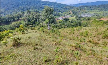 Lote en San Rafael Vereda Jaguas con Nacimiento de Agua