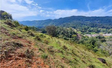 Lote en San Rafael Vereda Jaguas con Nacimiento de Agua