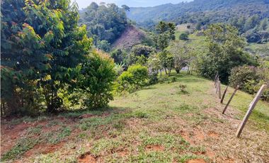 Lote en San Rafael Vereda Jaguas con Nacimiento de Agua
