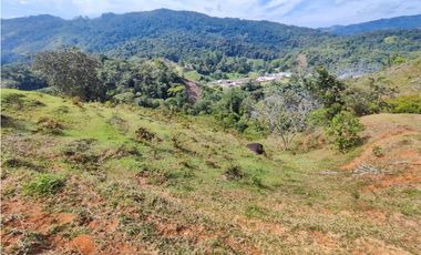 Lote en San Rafael Vereda Jaguas con Nacimiento de Agua