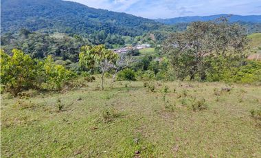 Lote en San Rafael Vereda Jaguas con Nacimiento de Agua