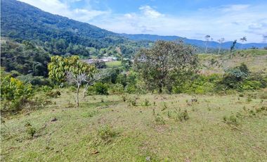 Lote en San Rafael Vereda Jaguas con Nacimiento de Agua