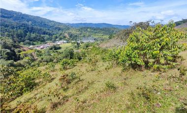 Lote en San Rafael Vereda Jaguas con Nacimiento de Agua