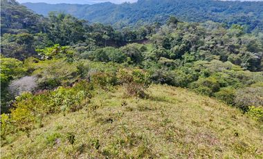 Lote en San Rafael Vereda Jaguas con Nacimiento de Agua