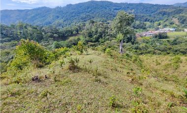 Lote en San Rafael Vereda Jaguas con Nacimiento de Agua