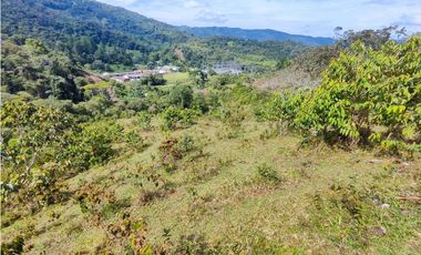 Lote en San Rafael Vereda Jaguas con Nacimiento de Agua