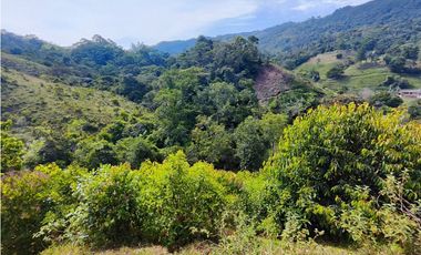 Lote en San Rafael Vereda Jaguas con Nacimiento de Agua