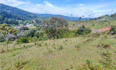 Lote en San Rafael Vereda Jaguas con Nacimiento de Agua