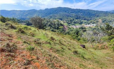 Lote en San Rafael Vereda Jaguas con Nacimiento de Agua