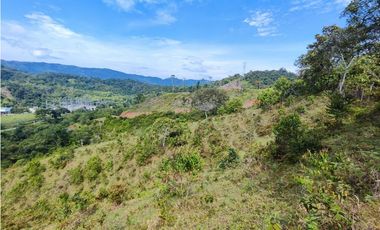 Lote en San Rafael Vereda Jaguas con Nacimiento de Agua