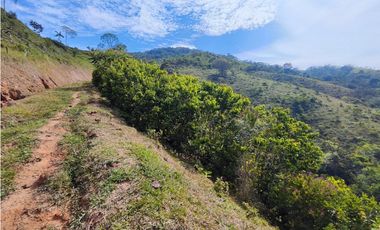 Lote en San Rafael Vereda Jaguas con Nacimiento de Agua