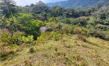 Lote en San Rafael Vereda Jaguas con Nacimiento de Agua
