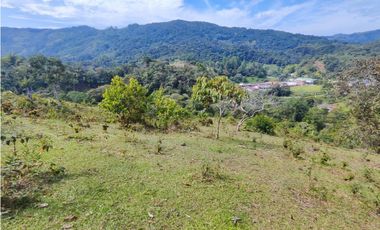 Lote en San Rafael Vereda Jaguas con Nacimiento de Agua