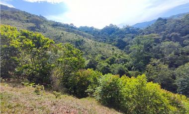 Lote en San Rafael Vereda Jaguas con Nacimiento de Agua
