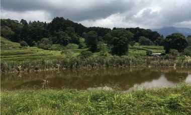 Finca San Francisco cundinamarca