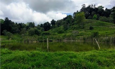 Finca San Francisco cundinamarca