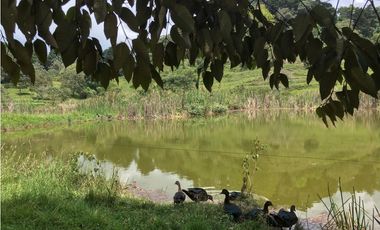Finca San Francisco cundinamarca