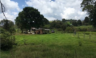 Finca San Francisco cundinamarca