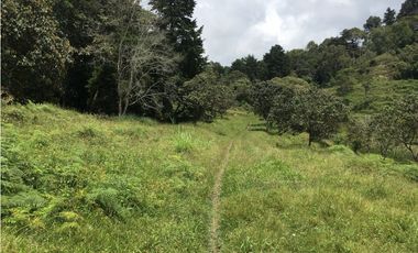 Finca San Francisco cundinamarca