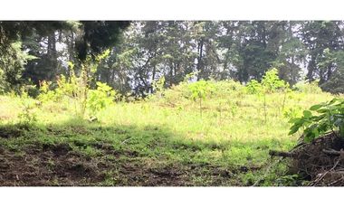Finca San Francisco cundinamarca