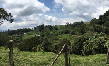 Finca San Francisco cundinamarca