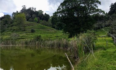 Finca San Francisco cundinamarca