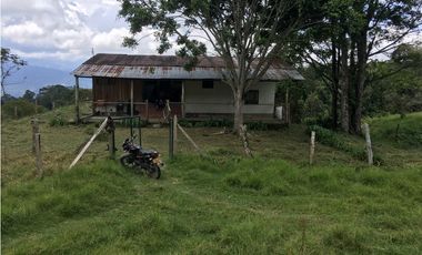 Finca San Francisco cundinamarca