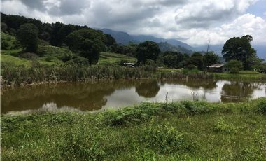 Finca San Francisco cundinamarca